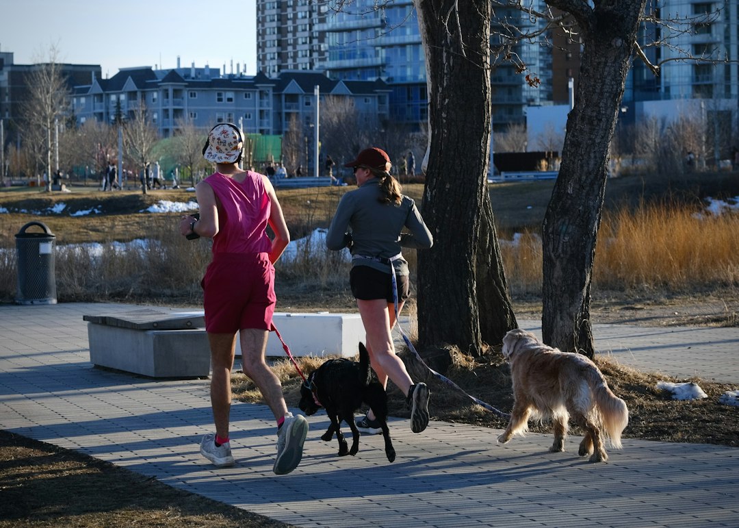 Professional dog walker with dog on leash in neighborhood setting