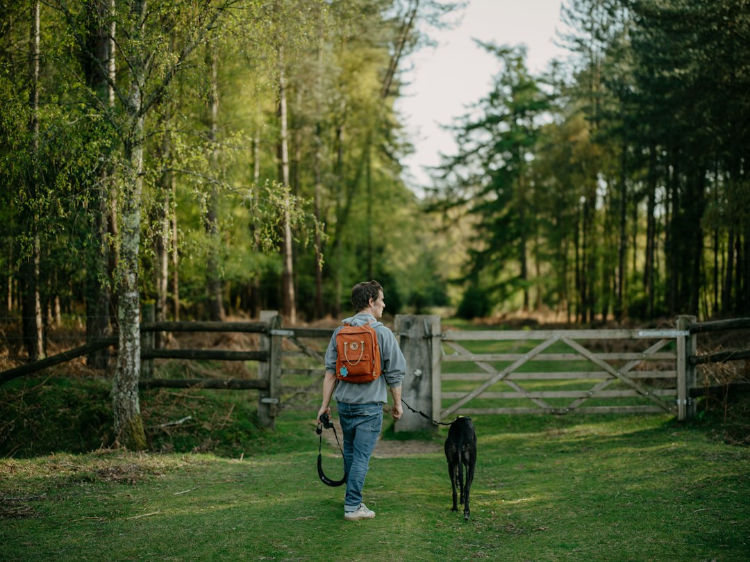 Young man walking with black dog on leash through tree-lined rural path