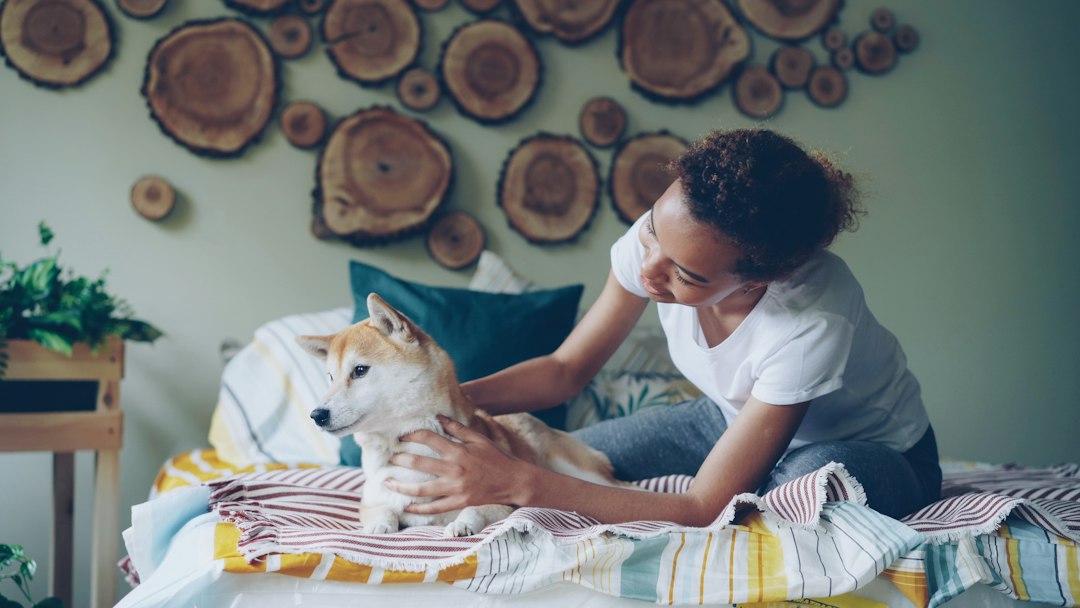 Trusted pet sitter with dog at home showing care and attention